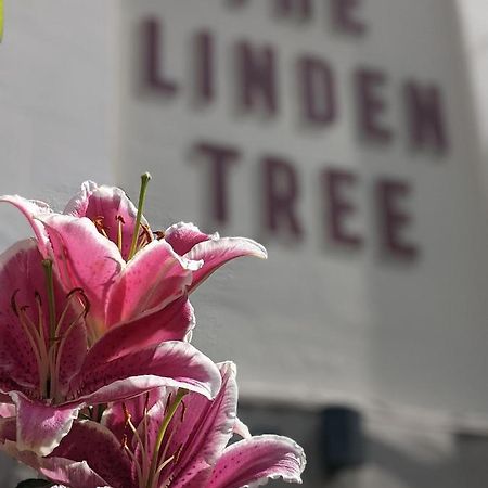 Bed and Breakfast Linden Tree Глостер Экстерьер фото